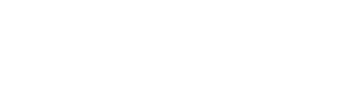 AUDO